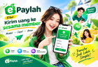 Kirim Uang 💰 ke sesama member